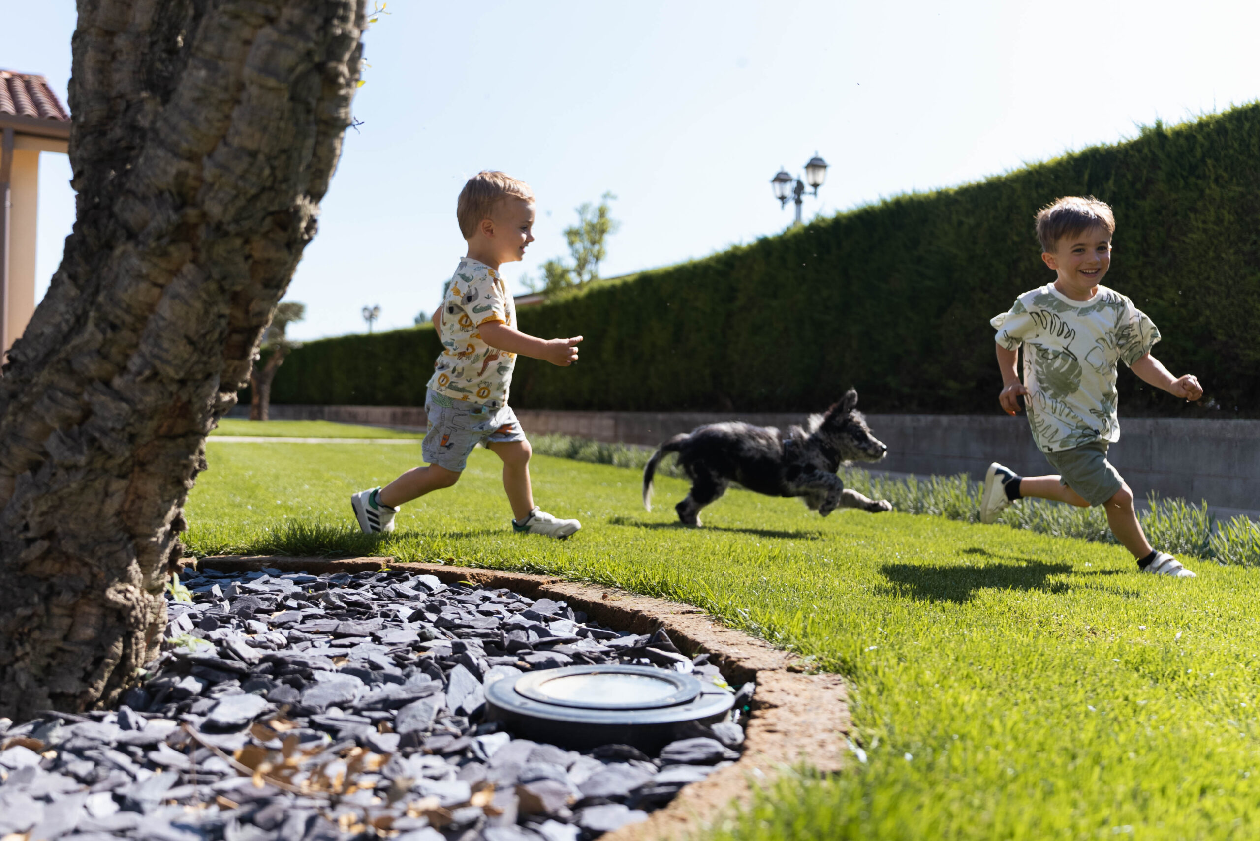 beb pet friendly scaled